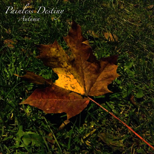 妓女影院永久免费
